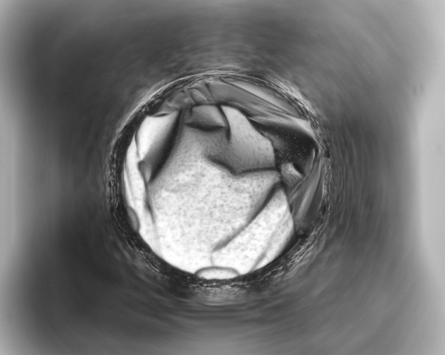 X0000095671256200802051223