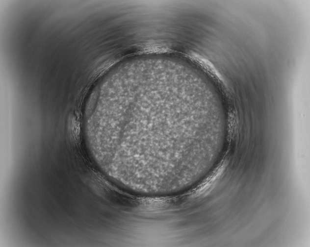 X0000095671257200802051223