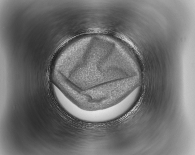 X0000095671259200802051223