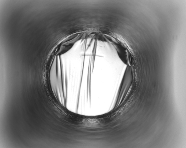 X0000095671260200802051223