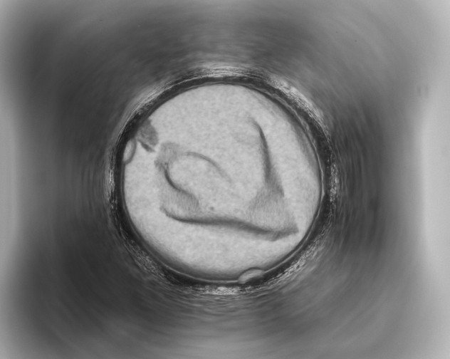 X0000095671261200802051223