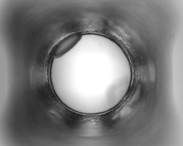 X0000095671262200802051223