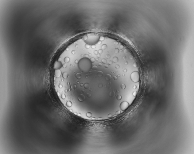 X0000095671263200802051223