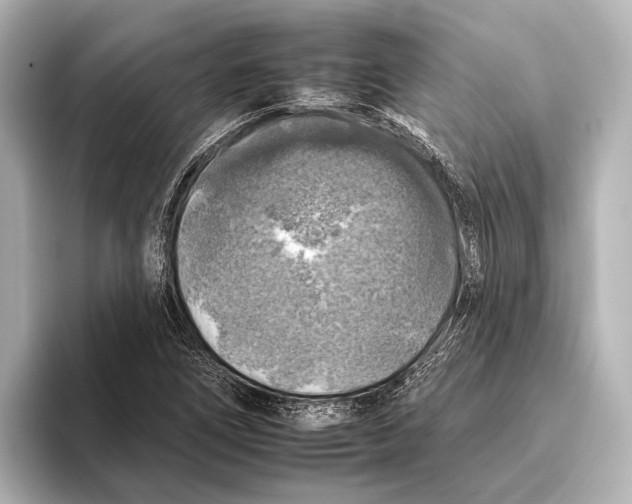 X0000095671266200802051222