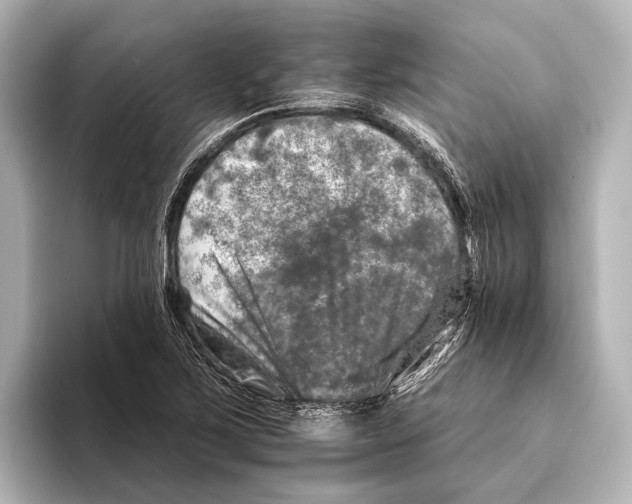 X0000095671267200802051222