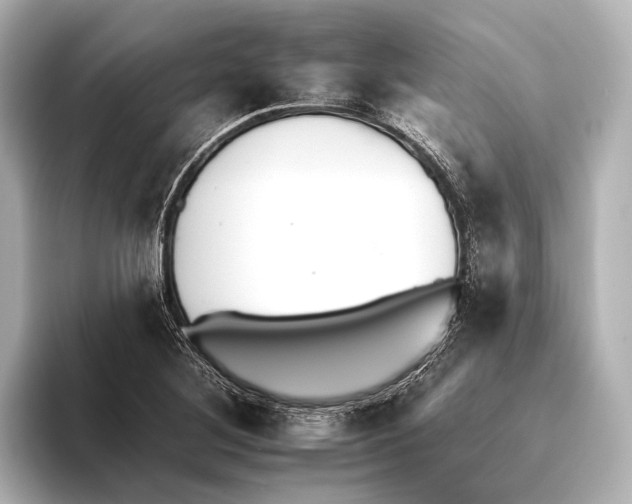 X0000095671268200802051222