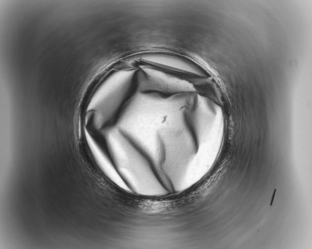 X0000095671269200802051222