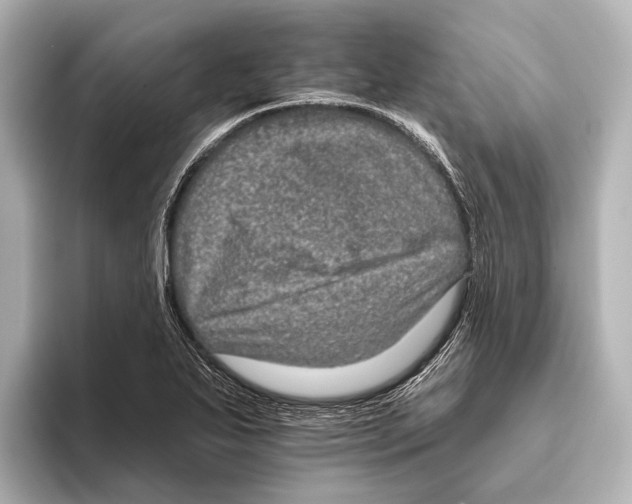 X0000095671271200802051222