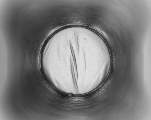 X0000095671272200802051222