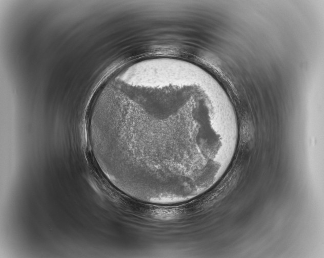 X0000095671274200802051222