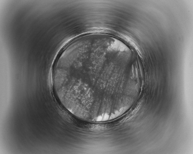 X0000095671275200802051222