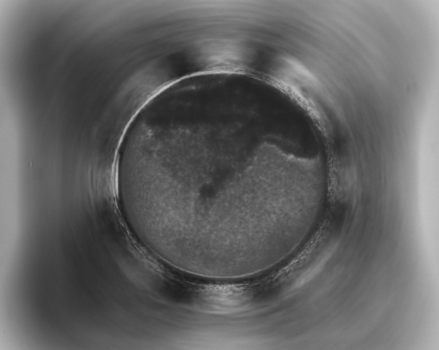 X0000095671276200802051222