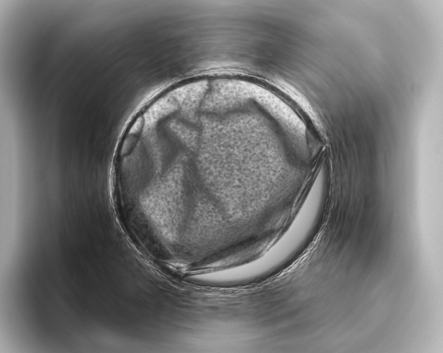 X0000095671277200802051222