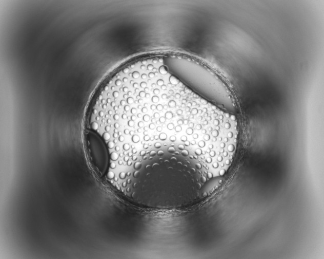 X0000095671279200802051222