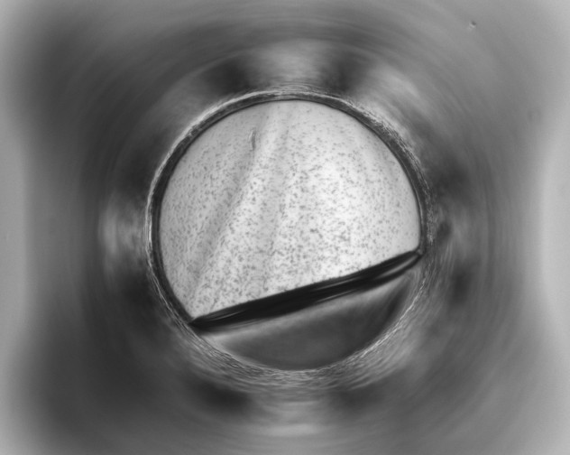 X0000095671280200802051222