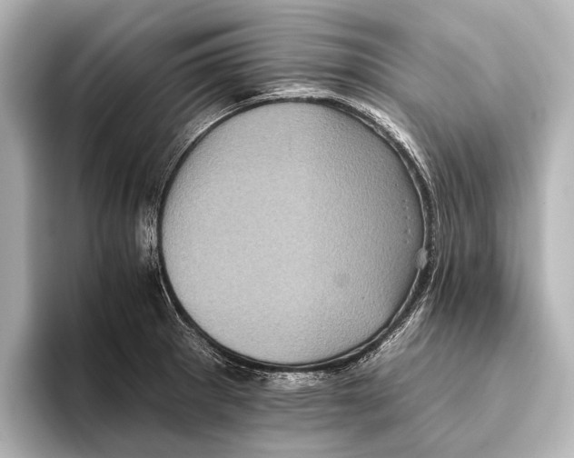 X0000095671281200802051222