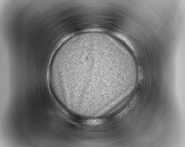 X0000095671282200802051222