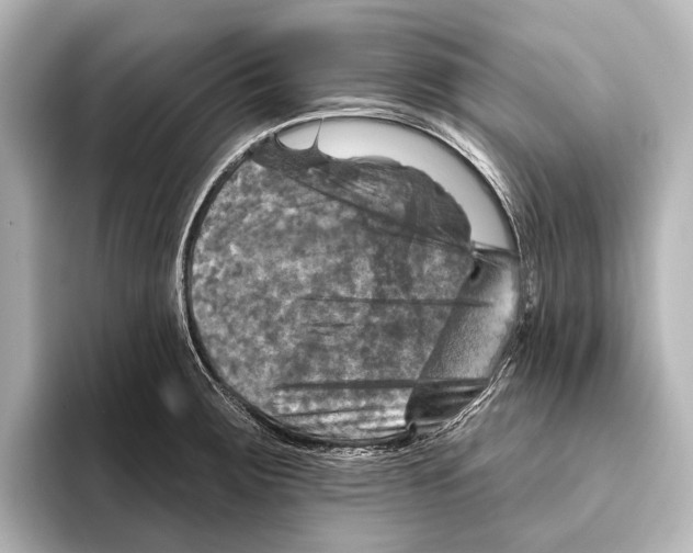 X0000095671283200802051222