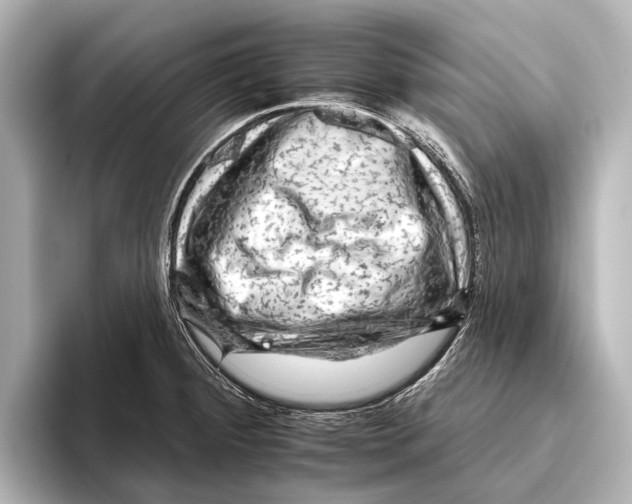 X0000095671284200802051222