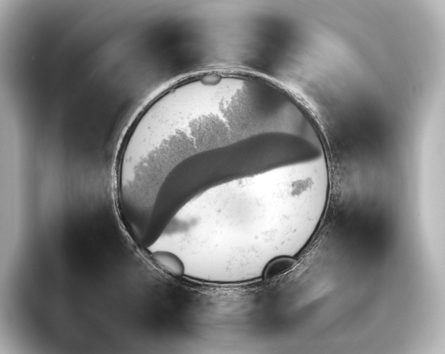 X0000095671287200802051222