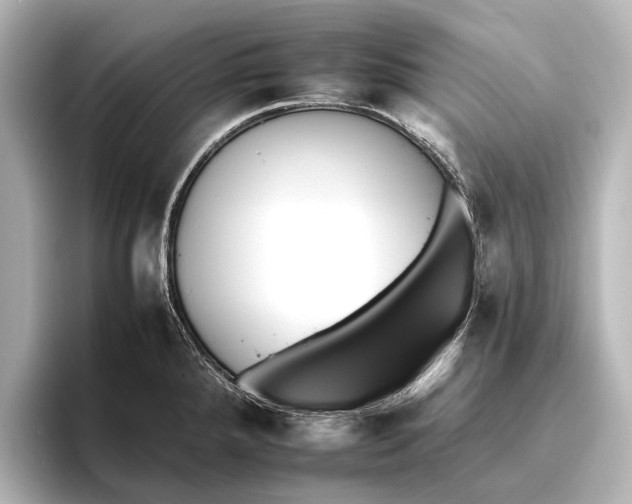 X0000095671288200802051222