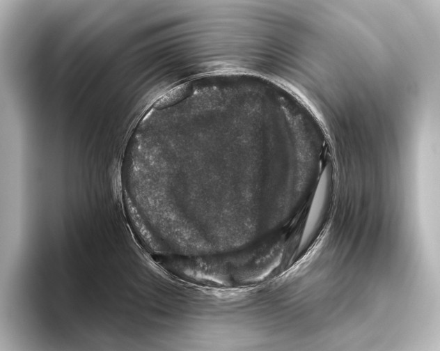 X0000095671289200802051222