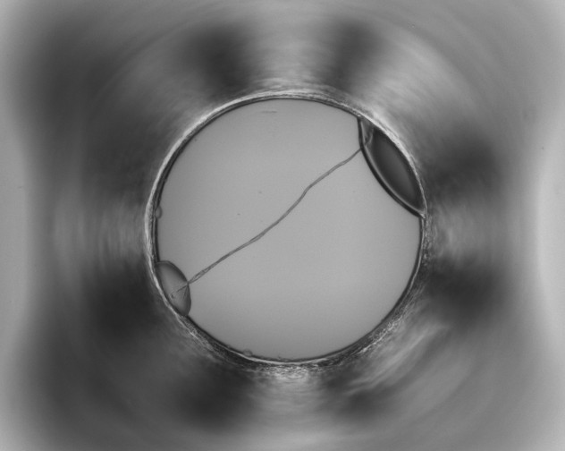 X0000095671291200802051222