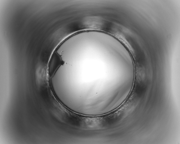 X0000095671292200802051222