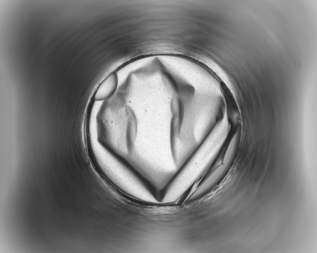 X0000095671293200802051222