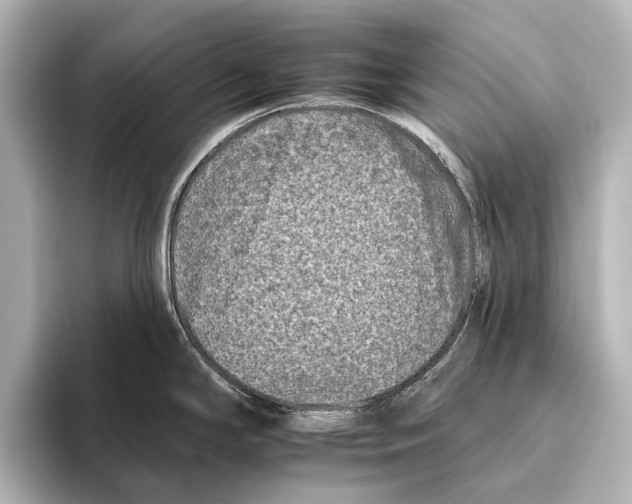 X0000095671294200802051222