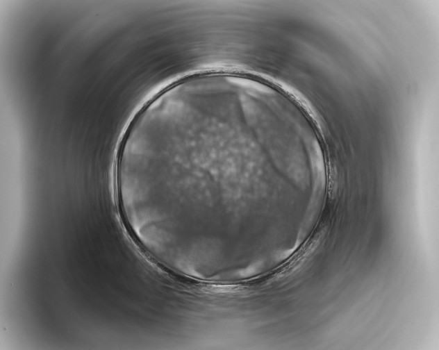 X0000095671295200802051222