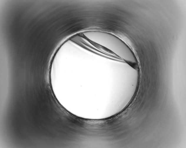 X0000095671296200802051222