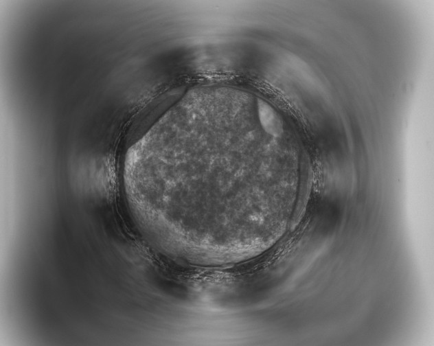 X0000095671298200802051221