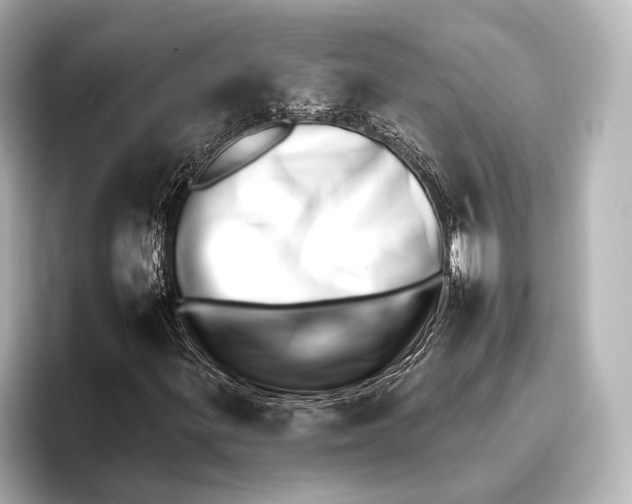 X0000095671299200802051221