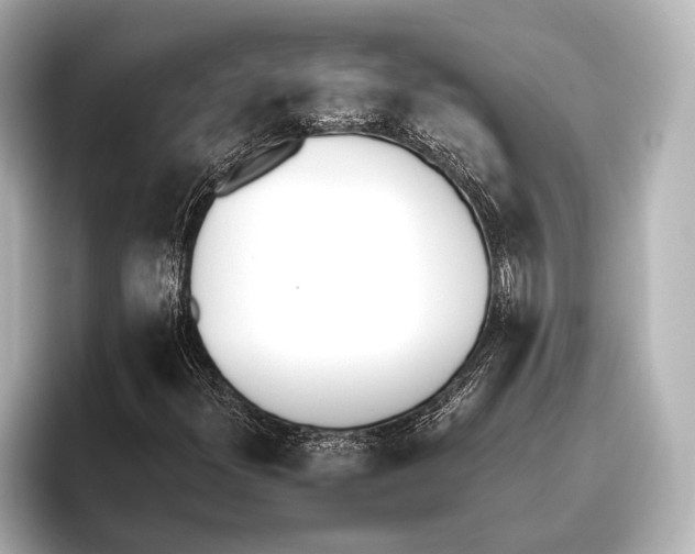 X0000095671300200802051222