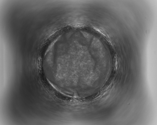 X0000095671301200802051222