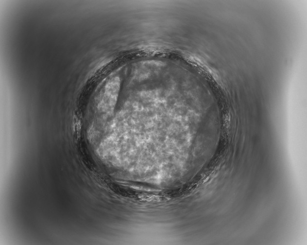 X0000095671302200802051222