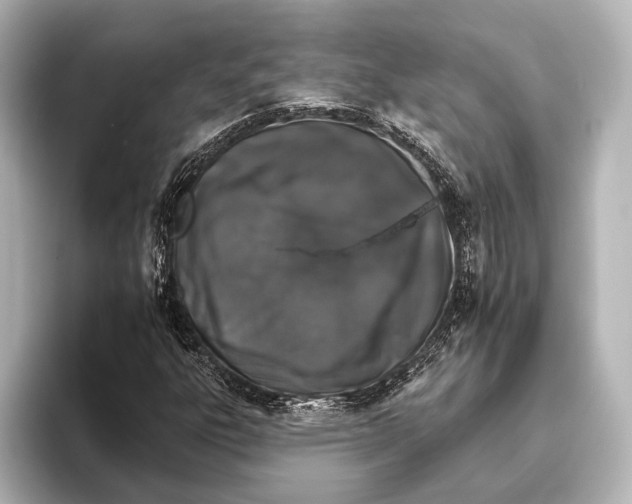 X0000095671303200802051222