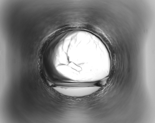 X0000095671304200802051222