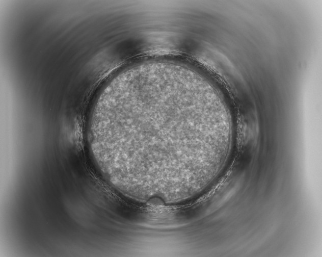 X0000095671305200802051222