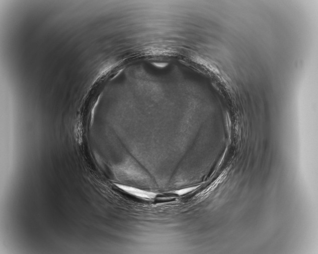 X0000095671306200802051222