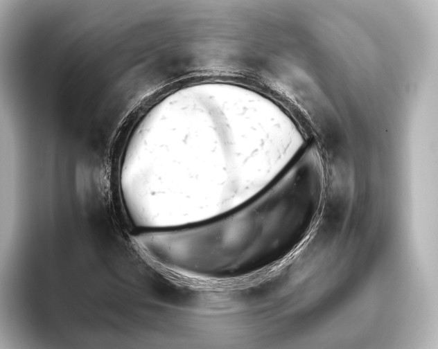 X0000095671307200802051222