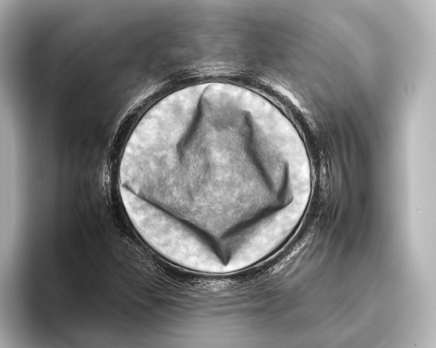 X0000095671309200802051222