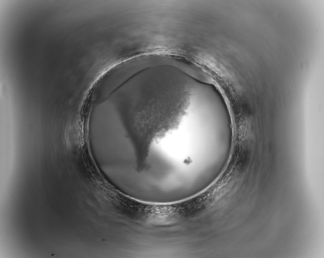 X0000095671310200802051222