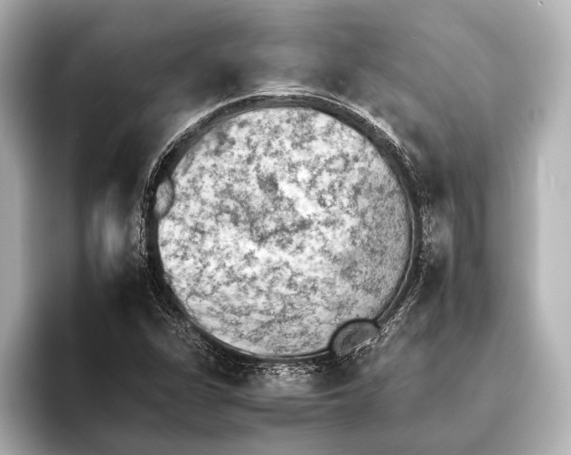 X0000095671311200802051222