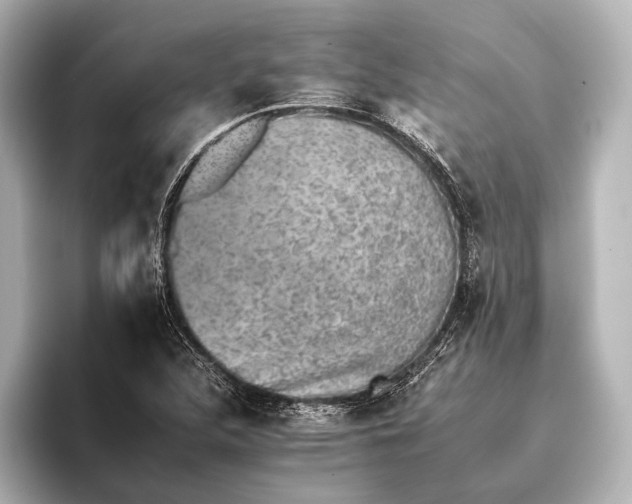 X0000095671312200802051222