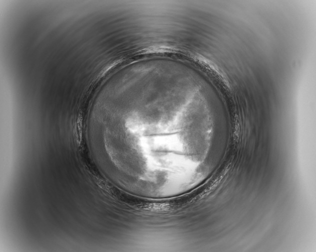 X0000095671313200802051222