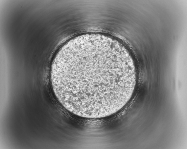 X0000095671314200802051222