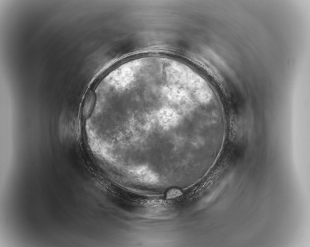 X0000095671316200802051222