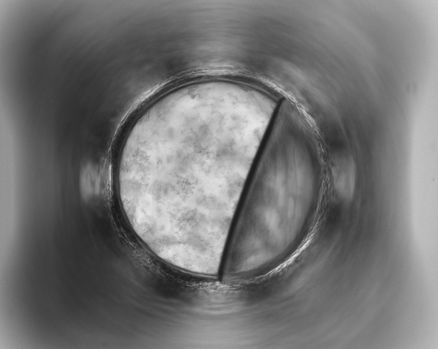 X0000095671317200802051222